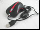 Click here for enlarging image
